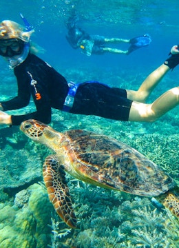 volunteer-abroad-project-sea-turtles-marine-conservation-ivhq